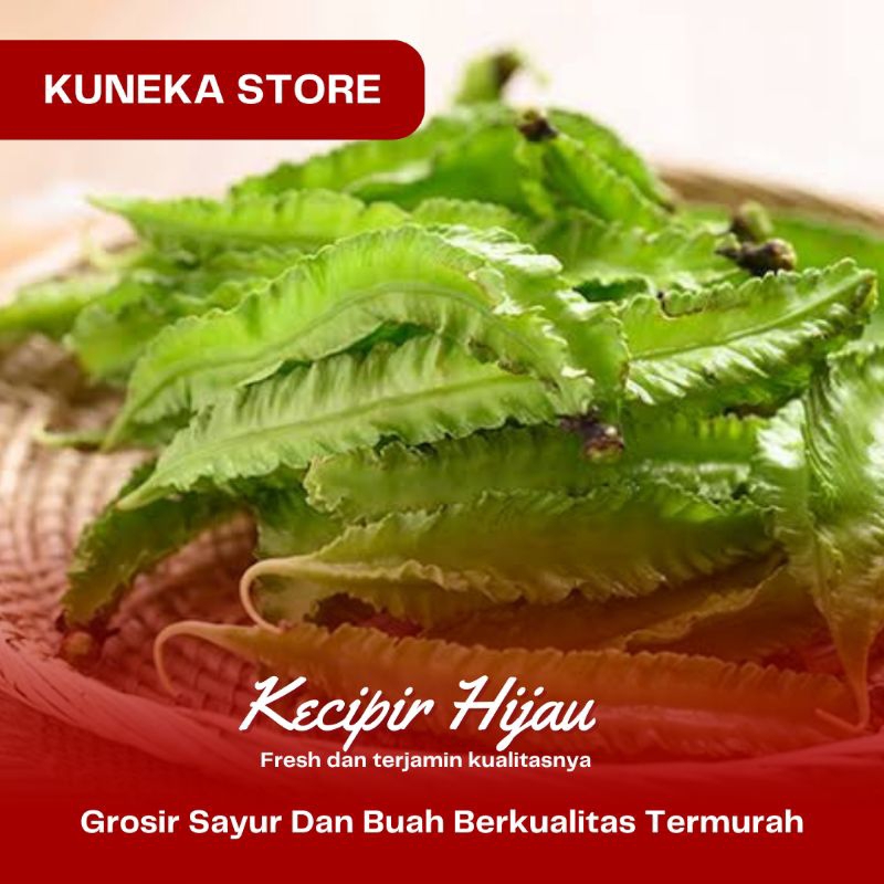 

KECIPIR HIJAU 250GR SEGAR TERLARIS FRESH GROSIR MURAH DAN TERLARIS