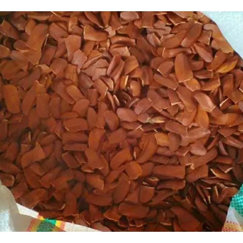 Buah mahoni 1kg | biji kayu mahoni