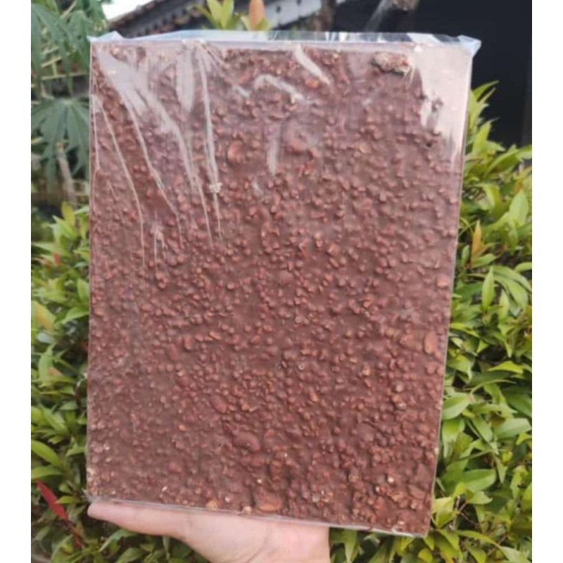 

cokelat blok SQ rocker 1kg