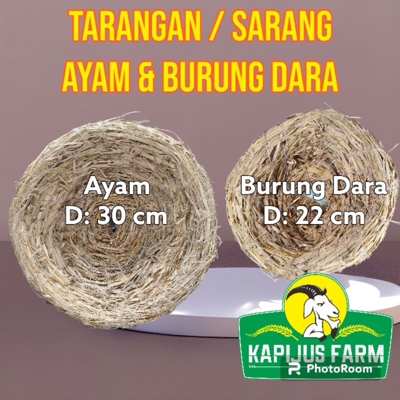 TARANGAN SARANG AYAM / SARANG BURUNG / SUSUH SERAT JERAMI ANYAMAN JERAMI