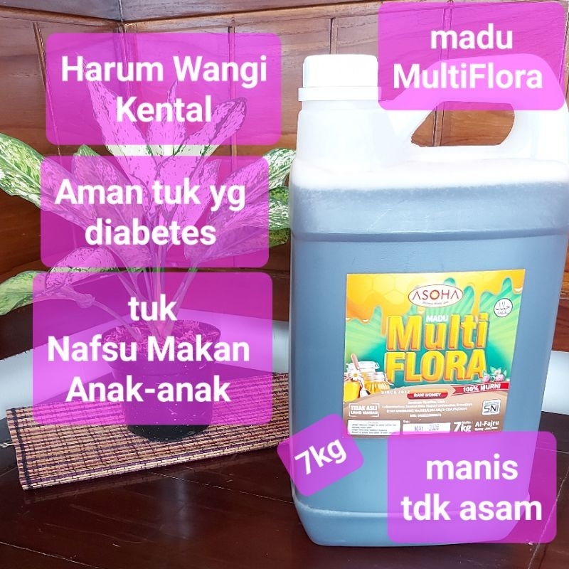 

Madu MultiFlora 7kg Harga Grosir Madu Asli Madu Murni Raw Honey ORGANIC