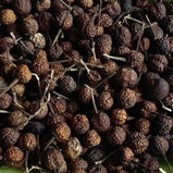 

HERBAL BUAH CEPOKAK KERING TERBAIK -250 GRAM