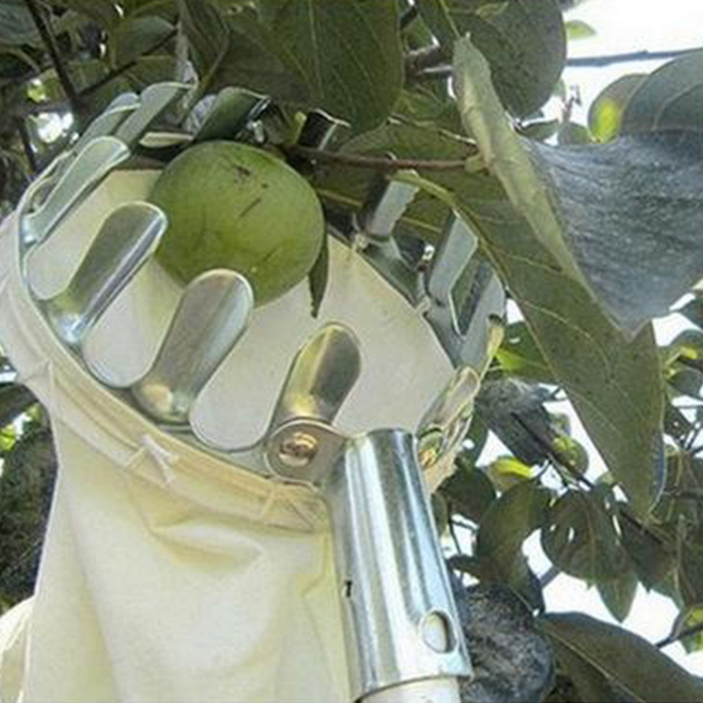 Jaring Pemetik Buah Net Fruit Picker Collection Head - HM16 - Silver