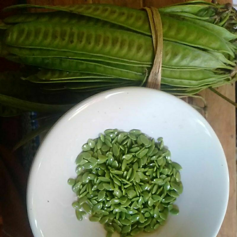 

Sayur Petai Cina Lamtoro minim order 4 ikat @