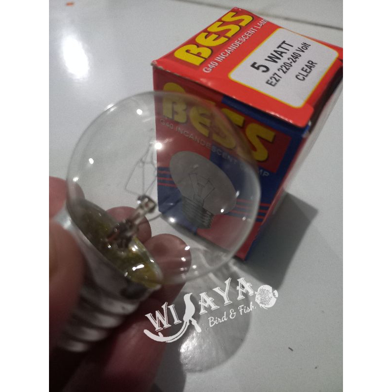 bohlam lampu lampu  pijar kuning 5 watt kecil utk mesin tetas inkubator DOC anak ayam