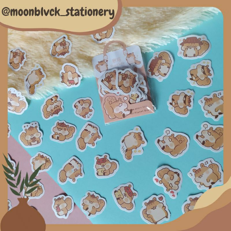 

[Stiker kertas] 40pcs Stiker gambar Tupai