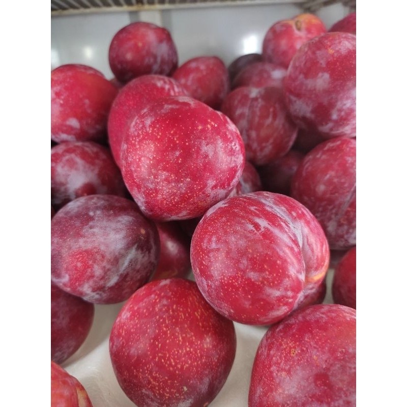 

buah plum 1 kg