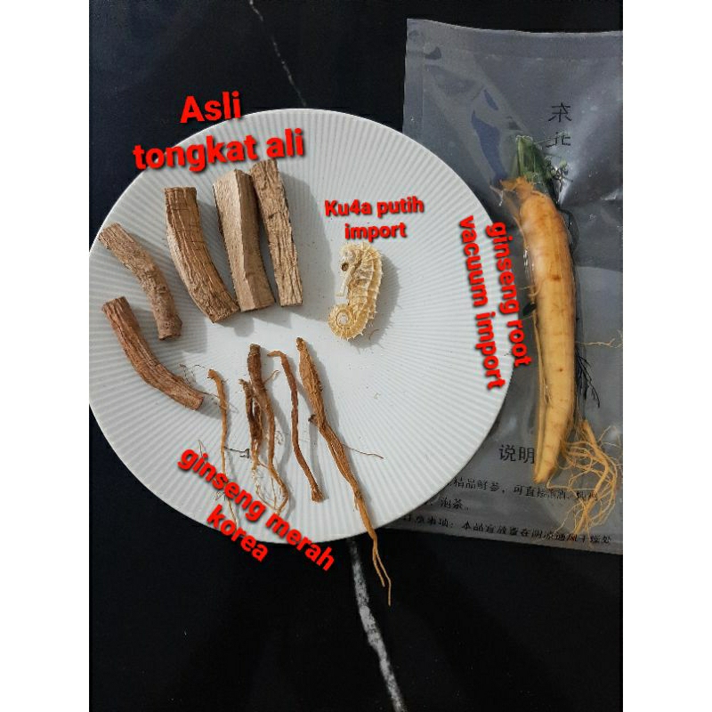 

Ginseng merah korea 5gram + ginseng vacuum pres 100gram + ku4a putih 1pcs + T ali 5pcs