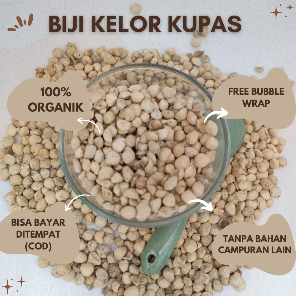 BIJI KELOR PREMIUM 100% DIJAMIN ORIGINAL