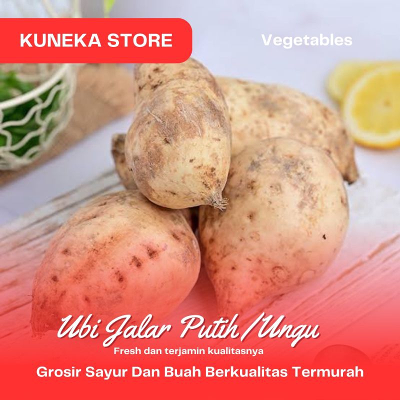 

KUNEKA UBI JALAR PUTIH 1KG UBI MERAH UBI UNGU PULEN PROMO MURAH KUALITAS TERBAIK SEGAR PRODUCT PILIHAN BEST SELLER BEST PRODUCT