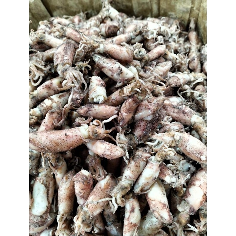 

cumi asin sedang /isi 500gram