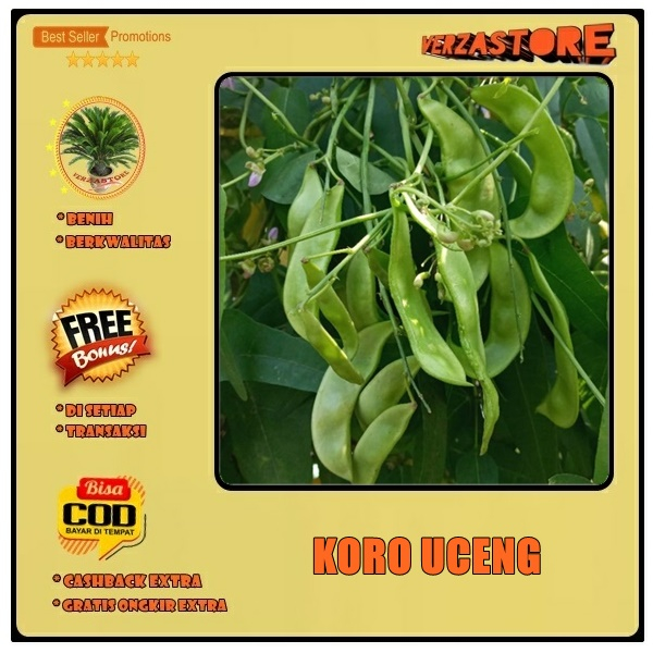 biji benih tanaman koro sayur  Koro Uceng Ijo Sili / 5 biji