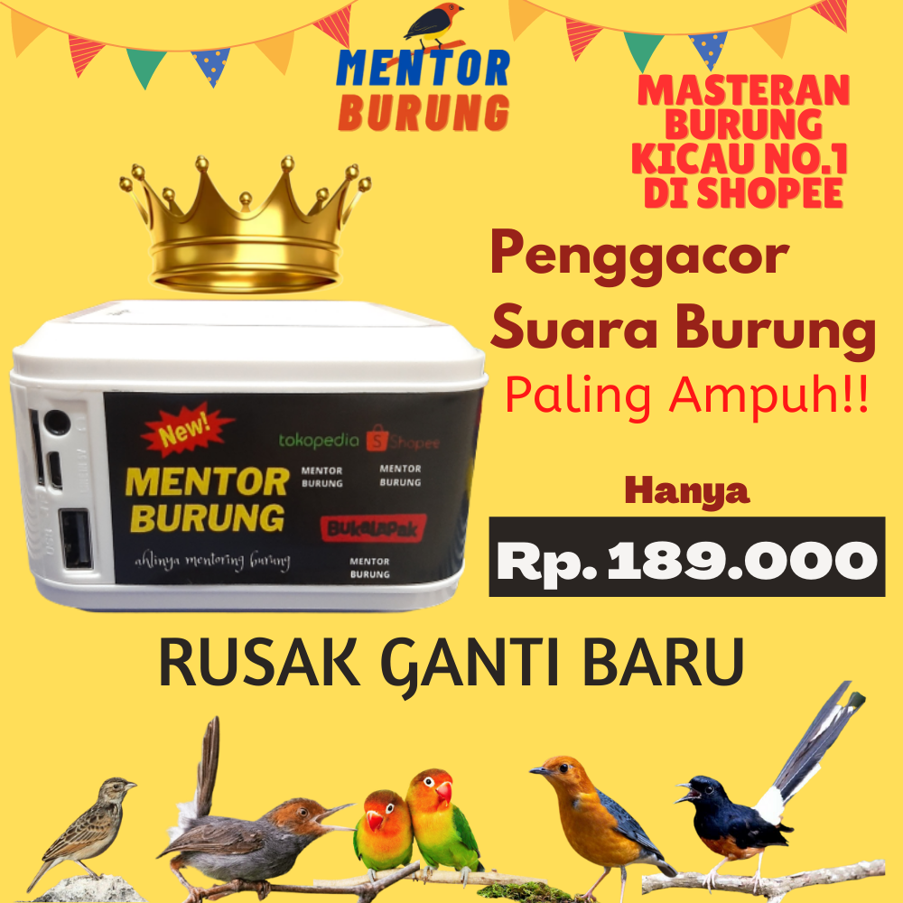 Mp3 Burung Speaker Khusus Pemasteran Burung Lomba Paling Gacor Falk Kenari Parkit Jalak Cucak Rowo