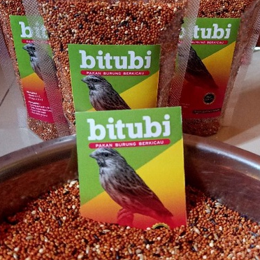 PAKAN BURUNG TERNAK UNTUK BURUNG BLACKTHROAT SANGER MOZAMBIK