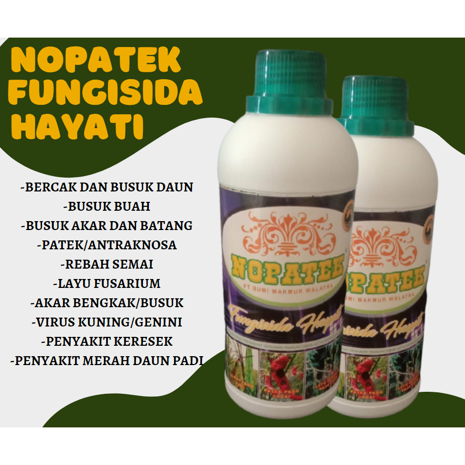 nopatek fungisida hayati obat penyakit patek cabe tanaman sayuran