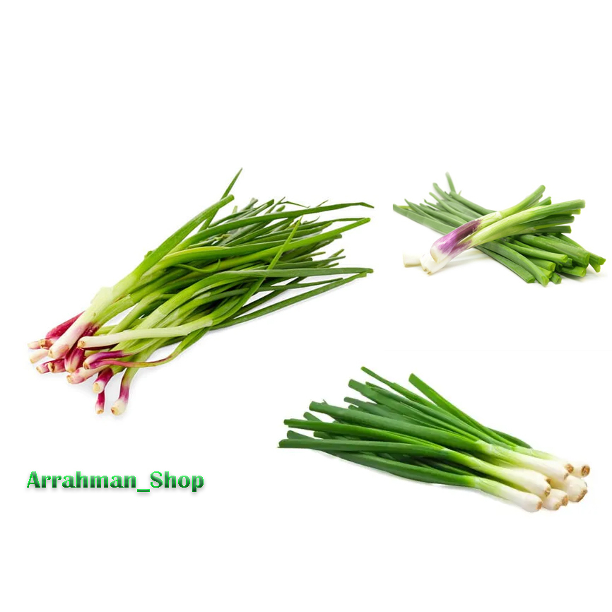 

Daun bawang - Sayur Daun Bawang Segar Fresh Per Ikat