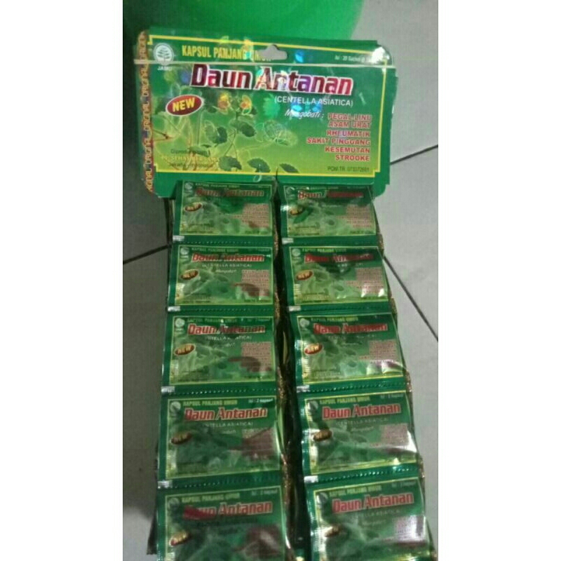 

Paket 50 Renceng Kapsul Daun Àntanan Original