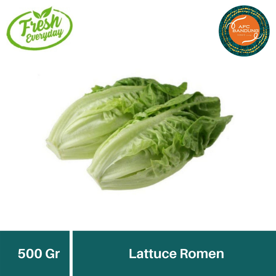 

Sayur Romen Sayuran Lettuce Roman Segar Romain 500gr