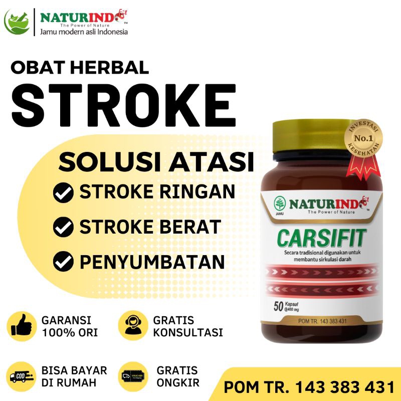 Obat Stroke Lumpuh Susah Bicara Penyumbatan Otak Syaraf Setrok Strok Wajah