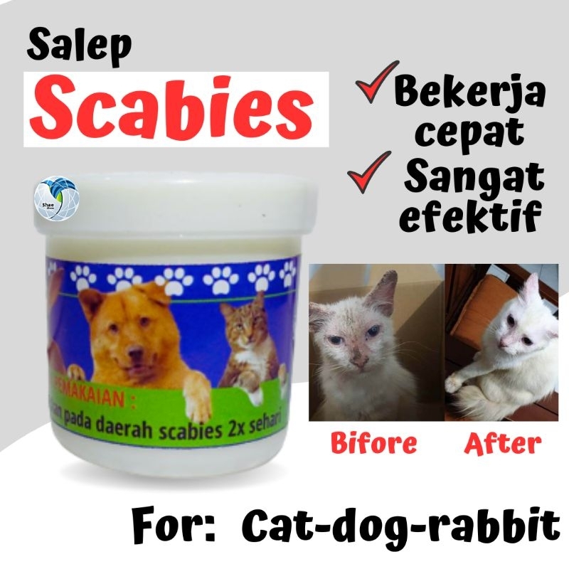 Obat Scabies Kucing Anjing Kelinci Salep Obat Scabies kadas kudis hewan Peliharaan Shaestore15