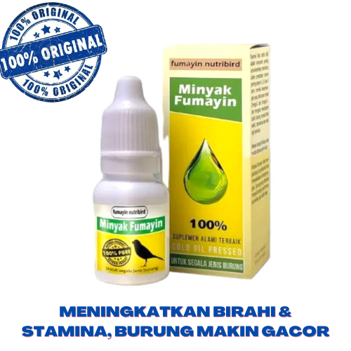 Penggacor burung minyak fumayin - suplemen herbal burung