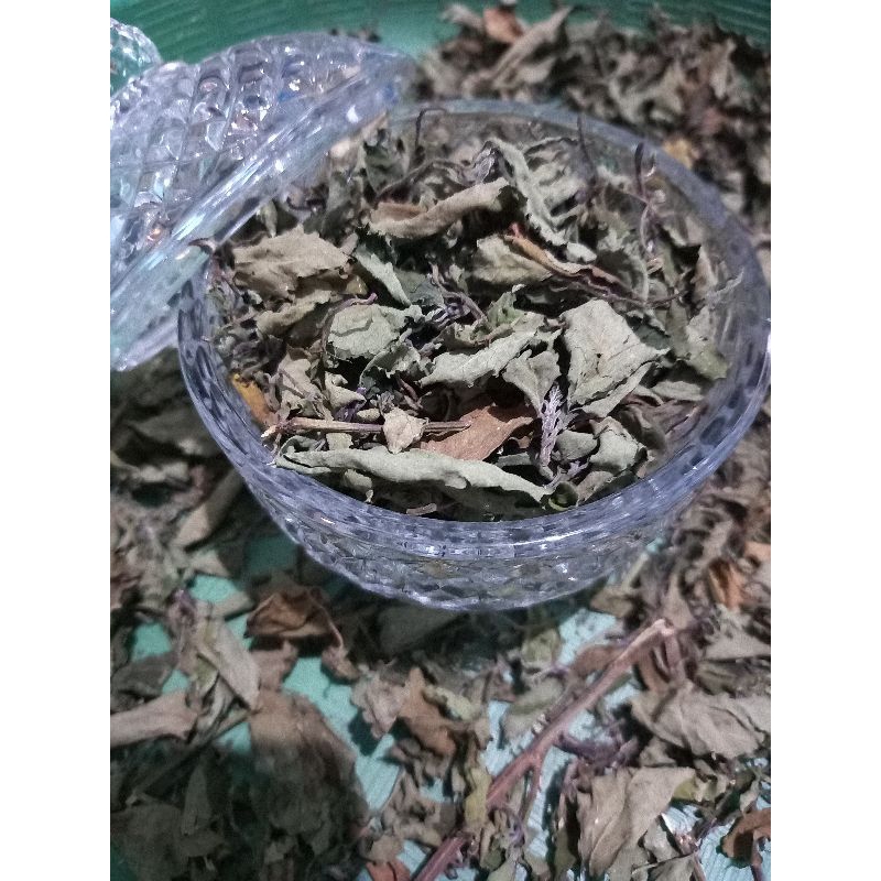 

Teh daun kumis kucing