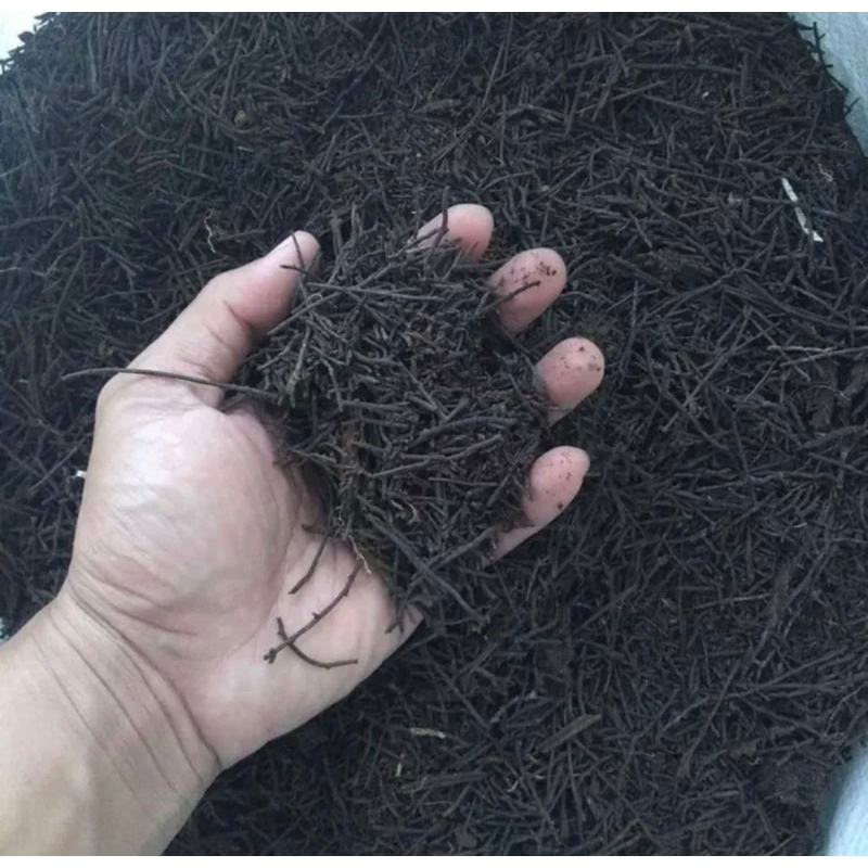 media tanam anggrek akar pakis cacah halus