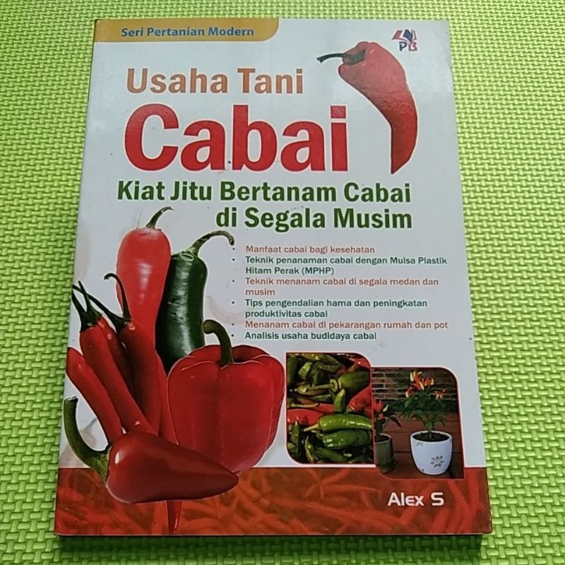 Usaha Tani Cabai kiat jitu bertanam cabai di segala musim