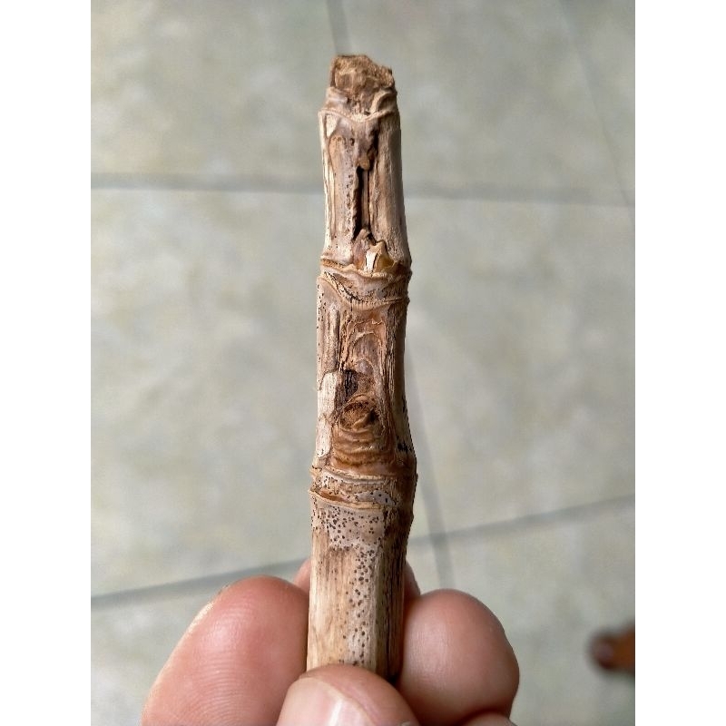 BAMBU UNIK PETUK JALU + TS 2 SAP BOS (SANGAT LANGKA)