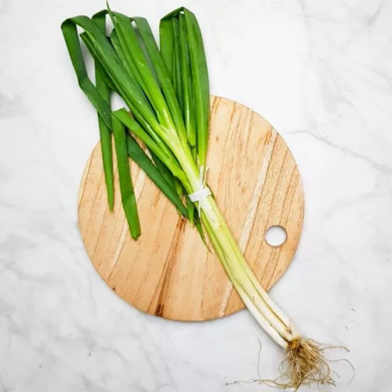 

KIRIM INSTAN Daun Bawang segar