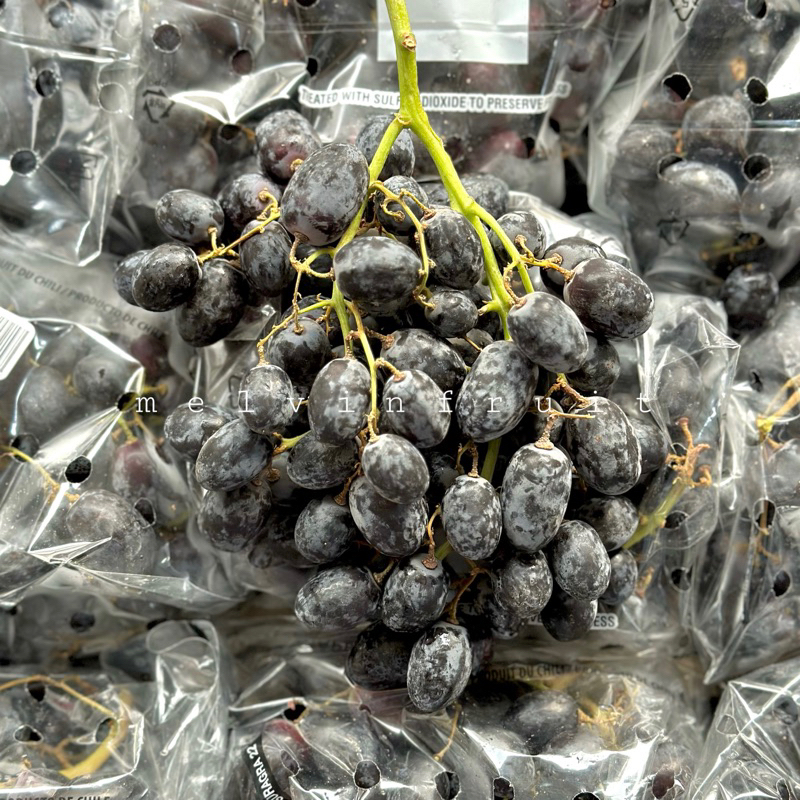 

Buah Anggur Black Autum fresh ( Manis)