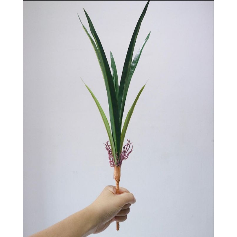 Daun anggrek latex/daun anggrek pandan/aksesoris anggrek