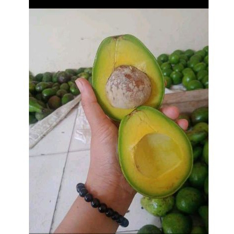 

alpukat mentega