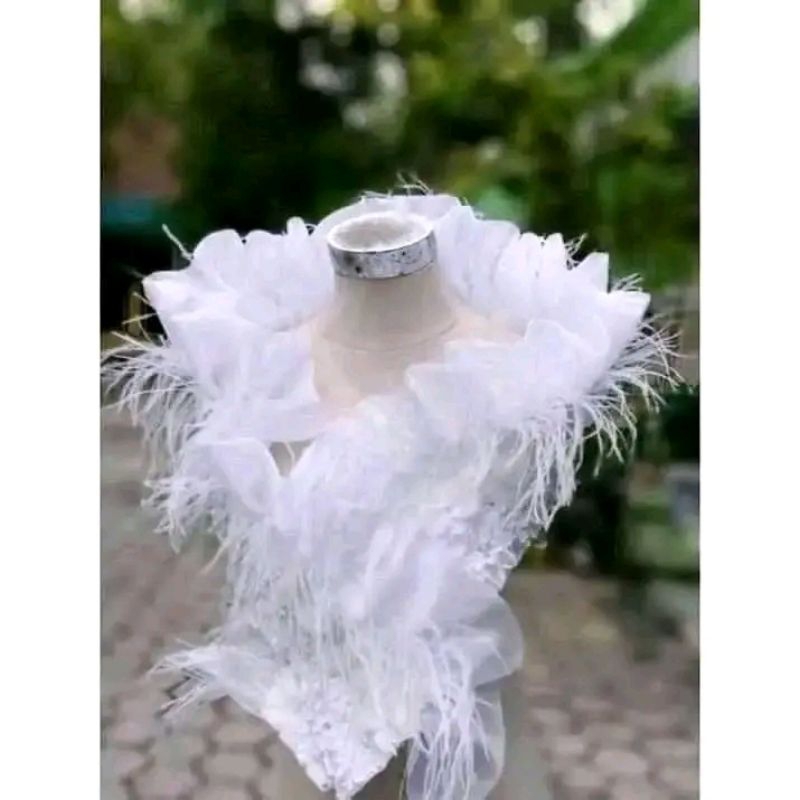 asesoris pengantin bahu bulu