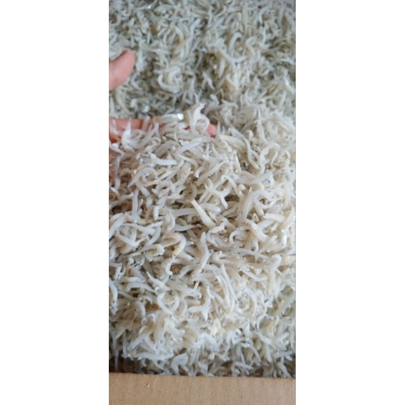 

Teri Medan Kasar/ TN PUTIH KASAR,500gram