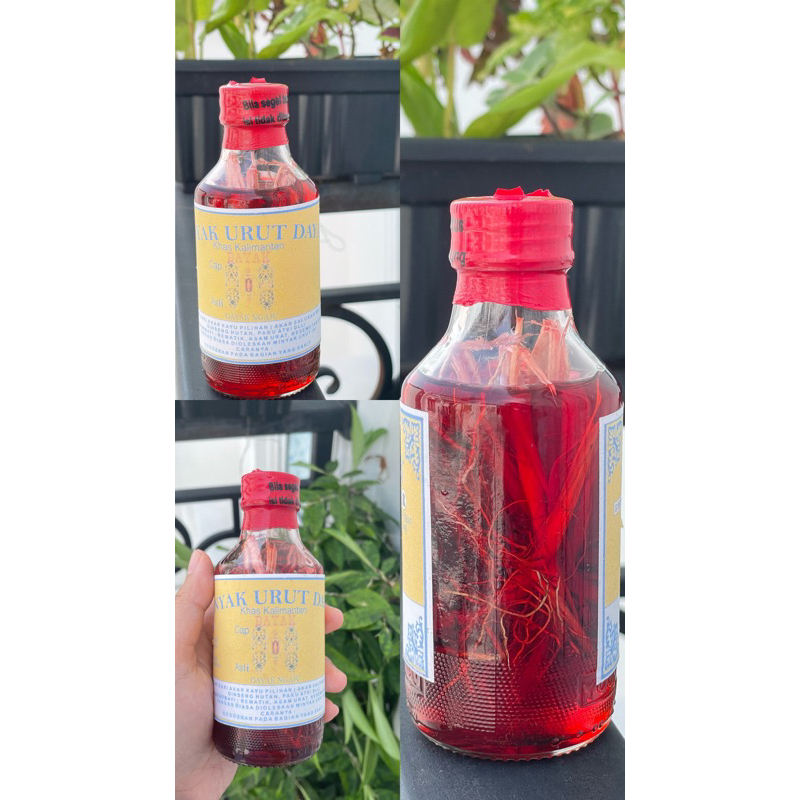 Minyak Urut Dayak Minyak Dayak Ngaju Minyak Urut Kalimantan Asli Original 100%