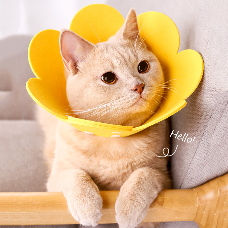 Pet Collar Bunga Collar Kucing Flower Corong Spon Collar Sponge FEFARM