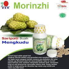 Dxn Morinzhi Obat Herbal Mengkudu 90 Kapsul