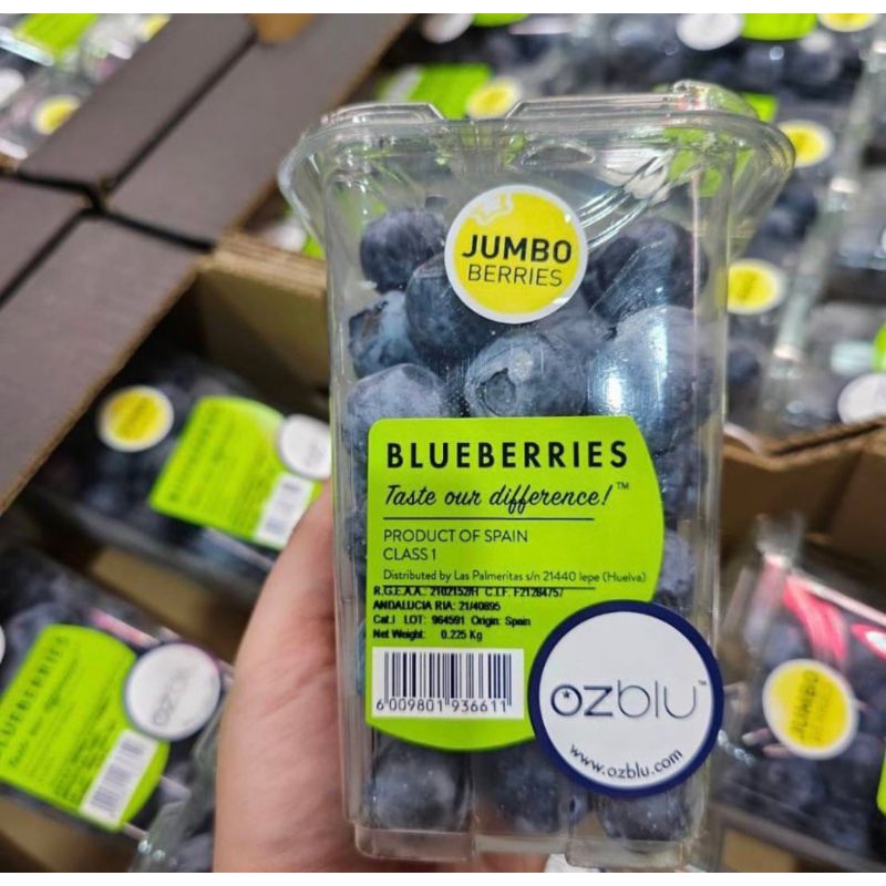 

Blueberry Jumbo Fresh Import 1 pack