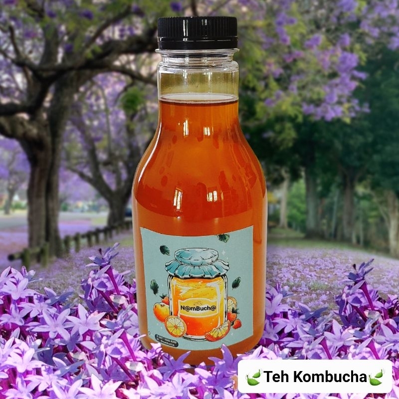 

Teh Kombucha 250 ml Teh Fermentasi Sehat Herbal