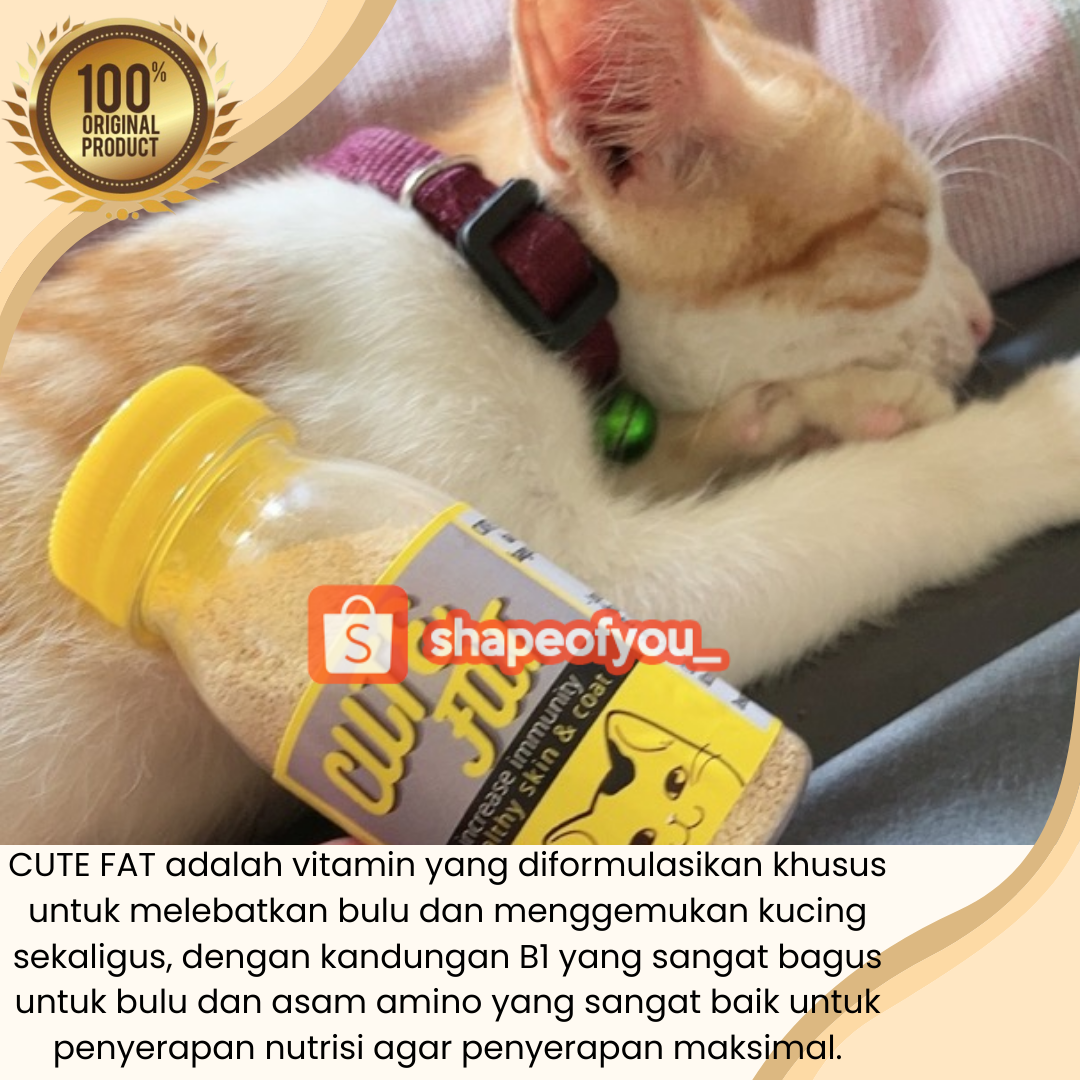 Vitamin Penggemuk dan Bulu Kucing Penumbuh Bulu Kucing Pelebat Bulu Obat Bulu Kucing Rontok Cute Fat