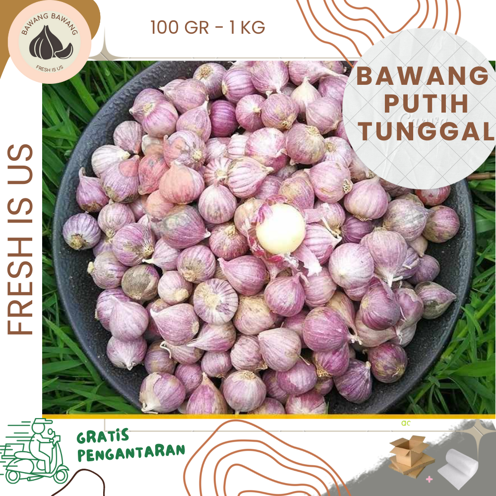 Bawang Putih Tunggal Lanang Jamin Bagus dan Fresh