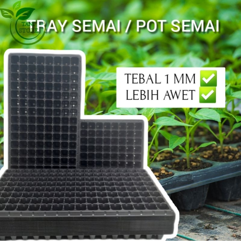 Tray semai 72,105,128,200 Lubang Tebal_Pot semai_Pot tray