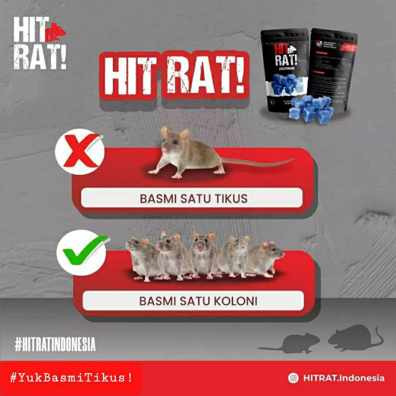 GROSIR HIT RAT 100 GRAM RACUN TIKUS AMPUH BASMI TIKUS HINGGA TUNTAS