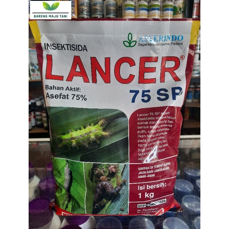 Insektisida LANCER 75 SP (asefat 75 %) isi 1 kg