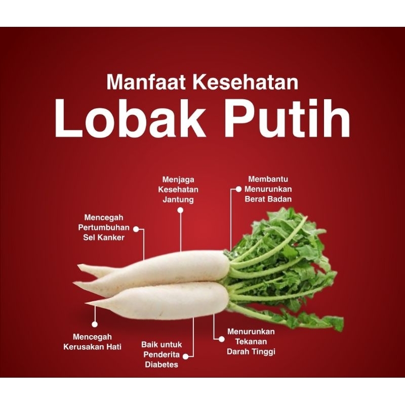 

lobak putih per 100gram