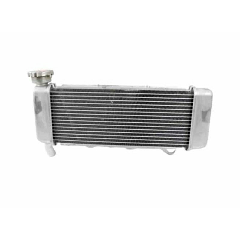 Radiator - Cb 150R K15P, Cb 150X 19010K45NL1