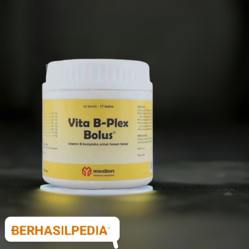 VITA B PLEK VITAMIN B KOMPLEK BOLUS