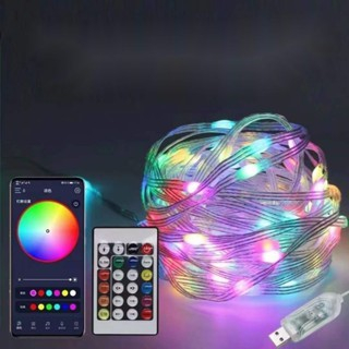 Lampu led strip hias 10 meter/Lampu strip RGB Bluetooth 10 Meter