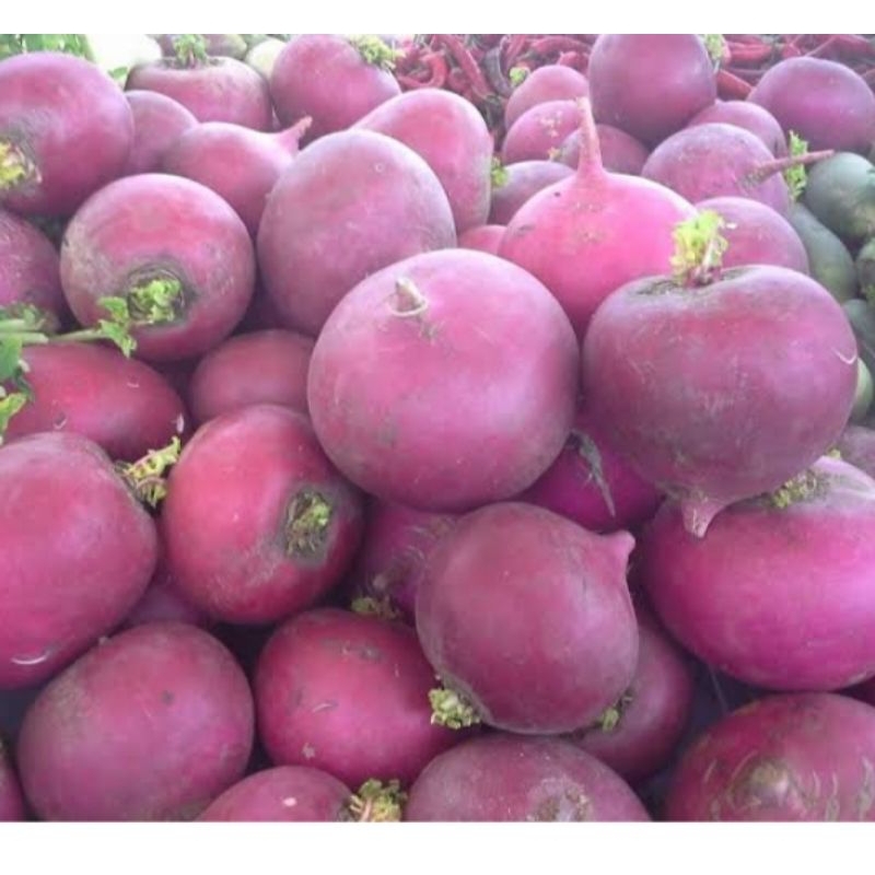 

lobak merah / red radish 500gr
